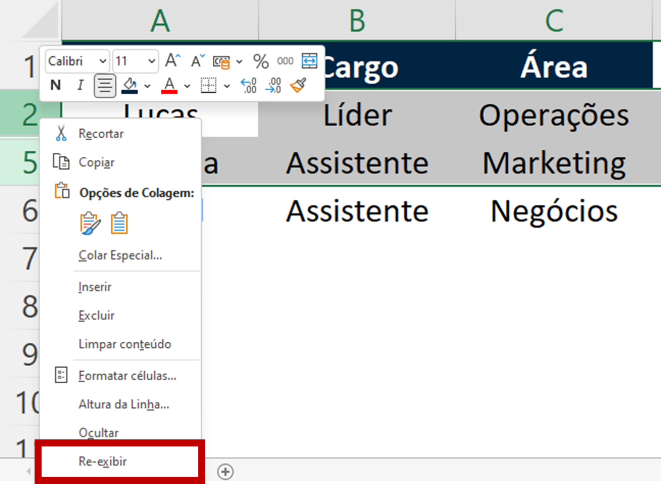 Como Exibir Todas As Linhas Ocultas No Excel De Uma Vez? – JAWT